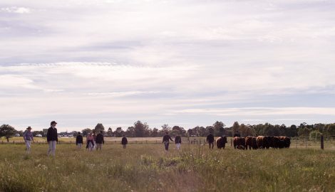 Students on school farm